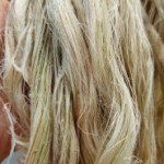 Ananas Fiber - PALF Q2