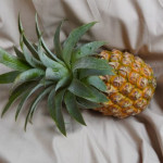 Ananas Fabric EcoBlend