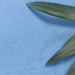 CUỘN SỢI MẪU 2000 GRAM