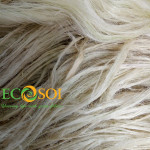 Ananas Fiber - PALF Q1