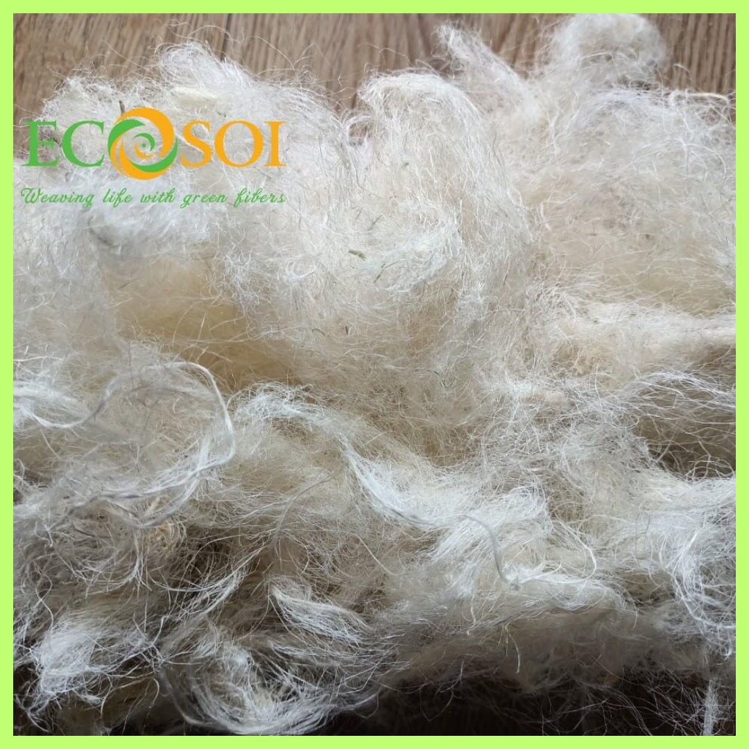 Vietnamecofiber - Ecosoi: Why Top Spinning Mills Choose Our Pineapple Leaf Fiber?