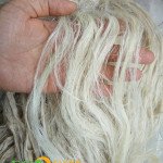 Ananas Fiber - PALF Q1