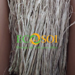 Ananas Fiber - PALF Q3