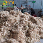 Cottonised Pineapple fiber Type 1